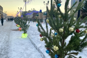 На Старый Новый год в Омской области потеплеет, но затем снова ударят морозы