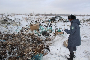 Яйца, обнаруженные на омской свалке, предварительно пытались сжечь - Россельхознадзор (ОБНОВЛЕНО)