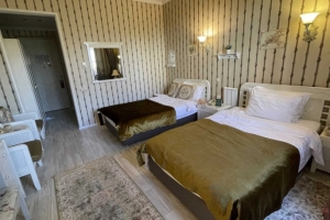 Омская гостиница-замок «Камелот» за 4 года подорожала на 30 млн рублей