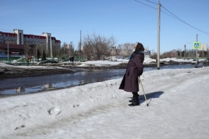 Со следующей недели снег в Омской области начинает таять и по ночам - в регионе устанавливается ...