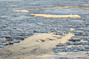 Вода в Иртыше на территории Омской области много лет оценивается как «загрязненная»