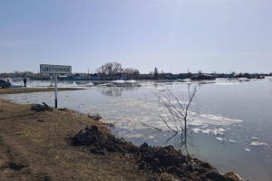 В Русско-Полянском районе талая вода затопила дорогу - по ней ограничили проезд для грузовиков