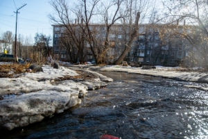 В Омске организовали сбор помощи для пострадавших от наводнения жителей Казахстана