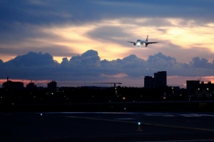 Летевший из Таиланда в Омск самолет совершил вынужденную посадку в Новосибирске