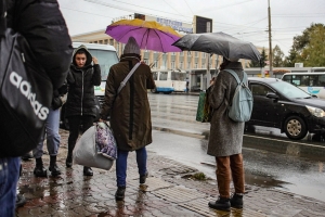 В Омскую область тепло вернется к выходным, но будет дождливо