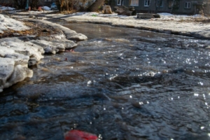 В Нижнеомском районе озеро вышло из берегов и заливает село (видео)