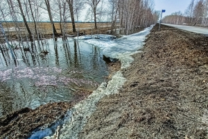 «Угрозы жизни и здоровью людей нет» - МЧС о затоплении домов и подворий в Омской области