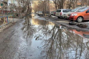 «Тревогу подняли собаки»: какие омские деревни оказались затоплены водой