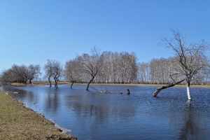 Уровень воды в Иртыше в районе Усть-Ишима продолжает снижаться