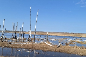 Паводок, затопивший омские села, засняли из космоса