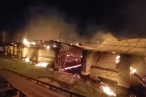 В Омской области ночью мощный пожар уничтожил крупное зернохранилище 