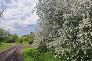 По-летнему тепло, но дожди, грозы и ветер: синоптики озвучили прогноз на ближайшие дни в Омской области