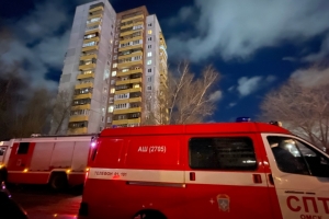 В Омской области с начала года в пожарах погибли 56 человек