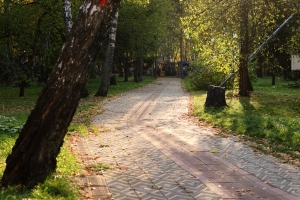 Суд запретил «Кедру» продавать землю в омском парке 30-летия ВЛКСМ