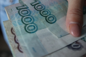Омская область оказалась на 41-м месте в стране по уровню доходов населения