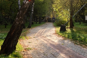 В Омске появится парк с дождевыми садами и ветромоделированием