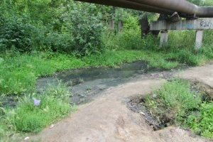 В Омске в озеро Чередовое сливают канализацию (видео)