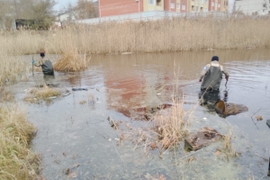 Волонтеры показали место, где нашли погибшей омскую пенсионерку