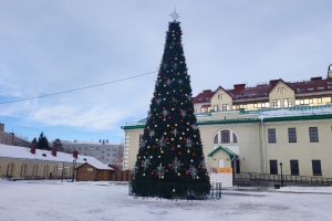 Стала известна новогодняя программа в Омской крепости