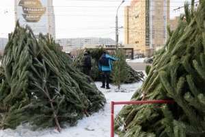 В Советском округе Омска начали работать елочные базары