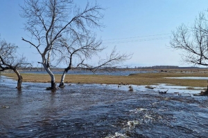 Под угрозой затопления четыре района: в МЧС рассказали, какие территории в Омской области могут пострадать от паводка