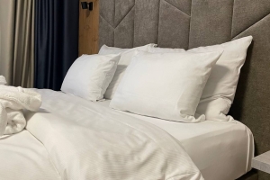 Стало известно, где в центре Омска построят гостиницу за 1,2 миллиарда