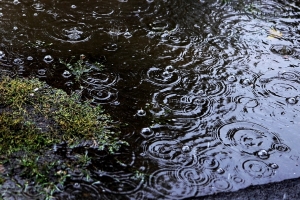 «Сил больше нет»: Немецкий поселок в Омске тонет после дождей, вода залила дома