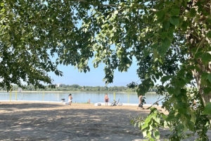 Спилили под корень: на Куйбышевском пляже в Омске снесли аллею из многолетних деревьев