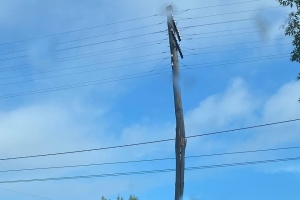 «Ждут ЧП?»: омичи сообщили об опасном столбе в Нефтяниках, который разламывается пополам
