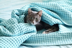 Раньше 15 сентября отопление в омских домах не появится