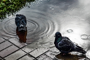 В Омске снесут старую насосную станцию у дома, который заливало фекалиями

