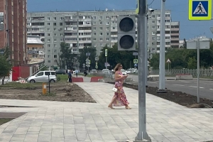 «Нарушают ПДД»: в Госавтоинспекции о ситуации с грузовиками на новых тротуарах бульвара Архитекторов