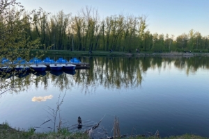 Омичей предупредили об обработке парка от комаров