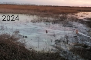 «Невозможно дышать»: следком начал проверку по загрязнению земель в Калачинском районе кисломолочными отходами