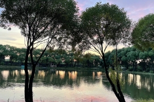 Под конец лета в Омскую область вернется жара, дожди на большей части региона прекратятся