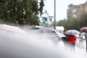 В Омской области объявлено штормовое предупреждение: ожидаются сильный ветер, град, ливень и грозы