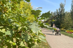 В Омской области к концу недели дожди стихнут и потеплеет