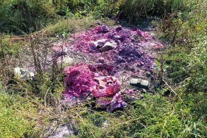 В Омской области обнаружили опасную свалку — из-за нее в почву попала ртуть