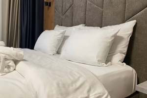 Компания, аффилированная с владельцем омского «Шато», планирует построить в центре Омска отель