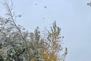 В Омске пошел первый снег