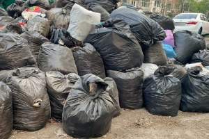 Омский мусорный регоператор «Магнит» заявил, что не будет вывозить мешки с листьями после субботника