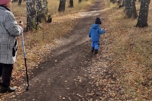 В Омске ищут подрядчика для восстановления лесов в черте города