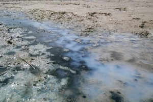 Жителям Омской области напомнили об уголовной ответственности за добычу ценных рачков