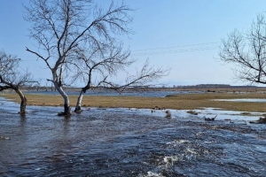 Количество подтопленных паводком участков в Омской области сокращается - МЧС