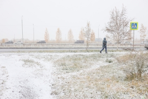 Омскую область ждет три дня снегопадов