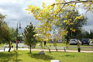 Резкое похолодание ожидается в Омской области на выходных