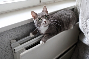 В некоторых домах Омска отопительный сезон начнется не раньше 15 октября