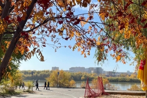 В Омскую область к середине сентября придет бабье лето
