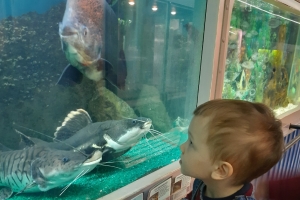 На Левом берегу Омска планируют построить большой океанариум