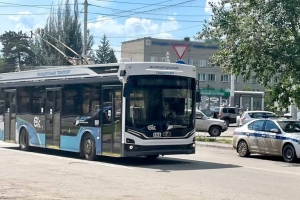 В мэрии Омска объяснили, почему не могут одновременно оставить троллейбусные маршруты №7 и 7м